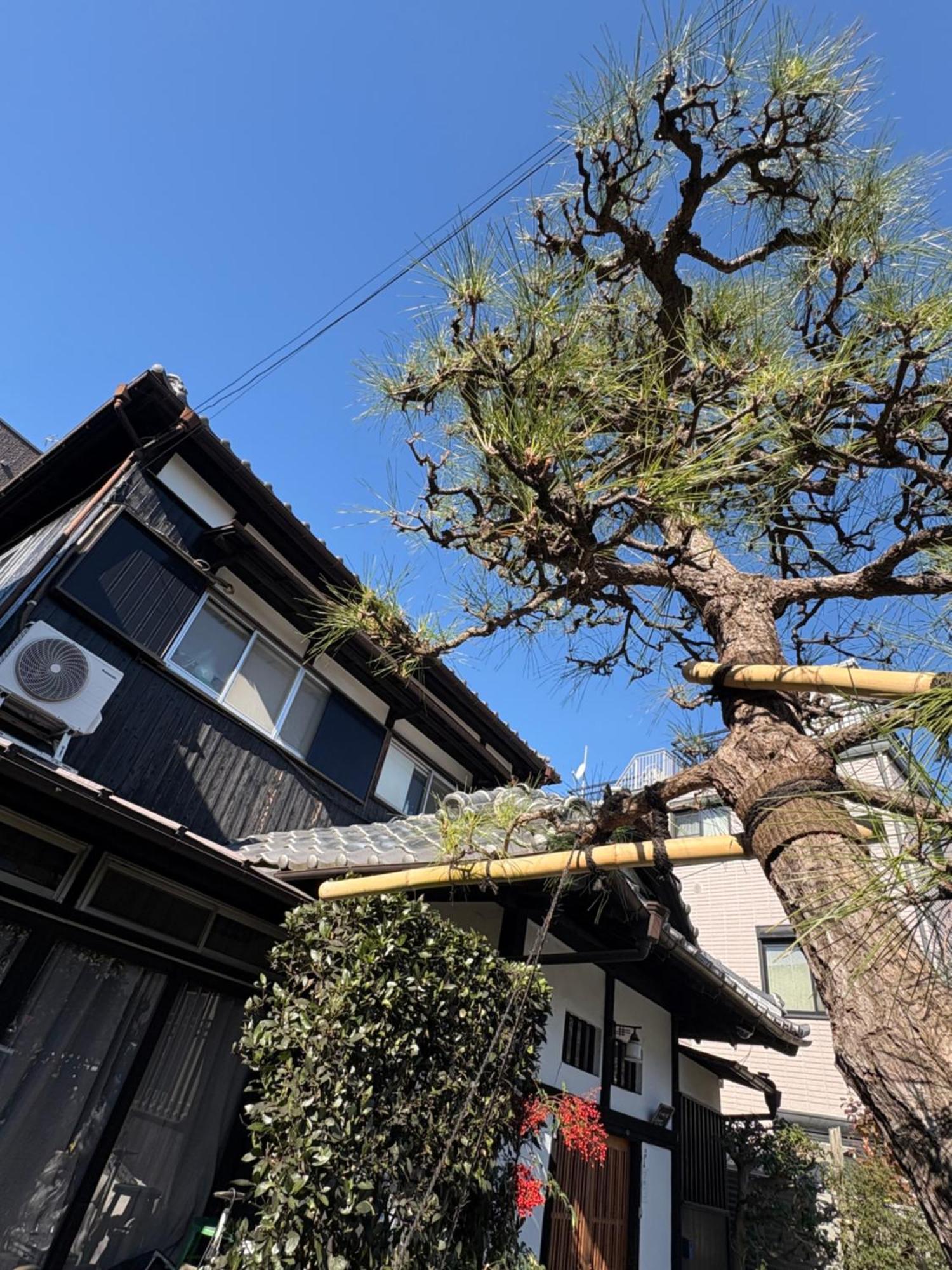 Отель Kitazawa Cozy House Токио Экстерьер фото